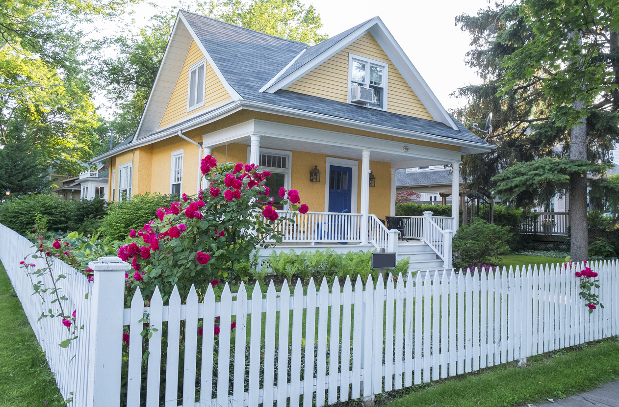 Pink Rose Bush in Front of a Beautiful Yellow House with a White Picket Fence.