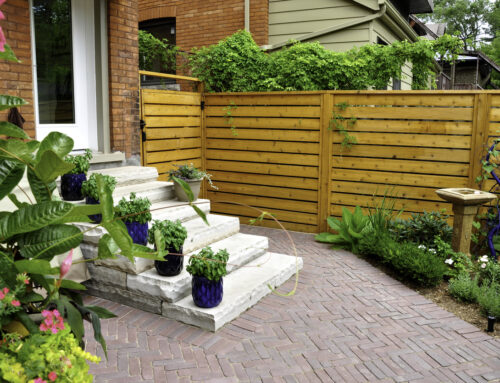 Whitewood vs Cedar Wood Fence Pickets