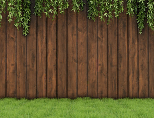 2022 Wood Fence Ideas